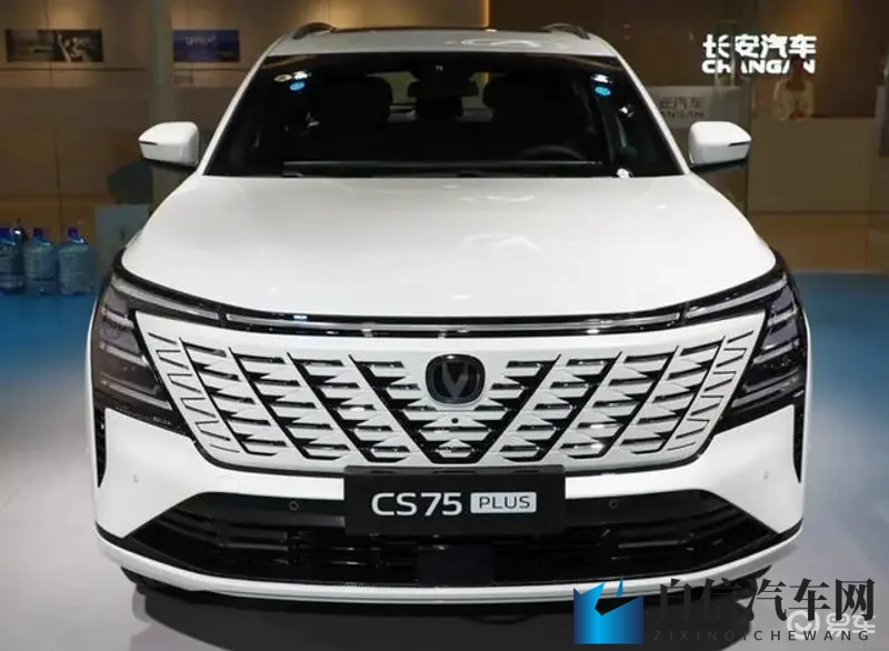 国产激情AV：国产大片，激情四溢，视觉盛宴-2