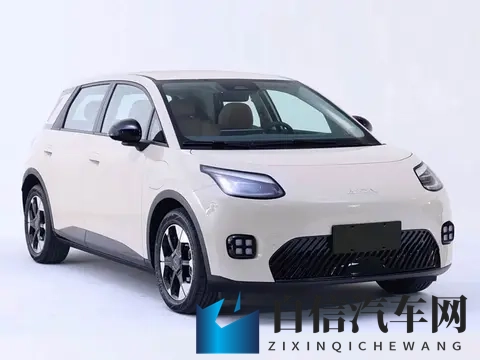 萤火虫终于有对手了，广汽_宁王_京东联合打造，最低499万起-1