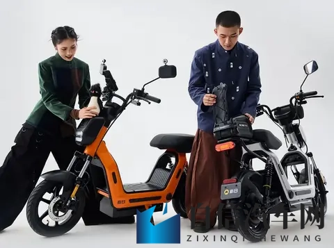 新旧国标电动车更替，两种车型有什么区别？对这3类车主造成影响-2