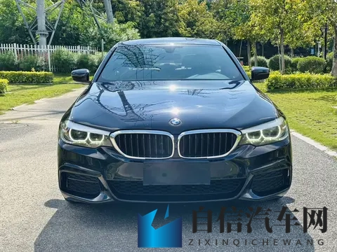 四年车龄，当年落地近50万，如今半价拿下宝马530Li-1