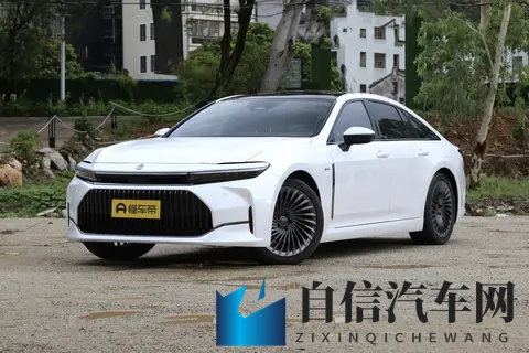 国产又粗又大：国产SUV新贵，性能魅力一触即发-2