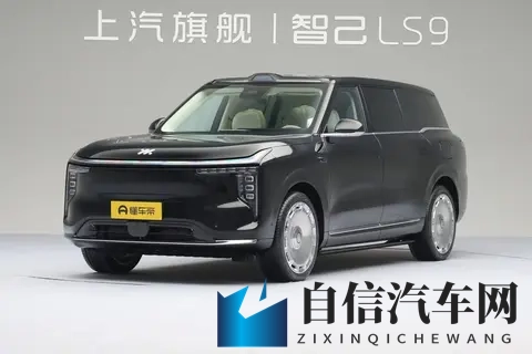 女超人麦乐迪1080p满天星版：引领潮流，科技环保：新车解析，颠覆驾驶体验-1