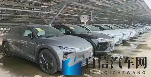 年轻人抄底“绝版车”：一场关于性价比与风险的豪赌-3