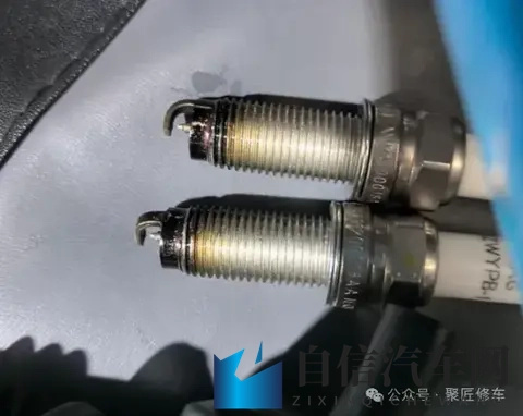 男生露jiji秘 免费视频网站：揭秘男生私密视频，免费观看平台大揭秘-2