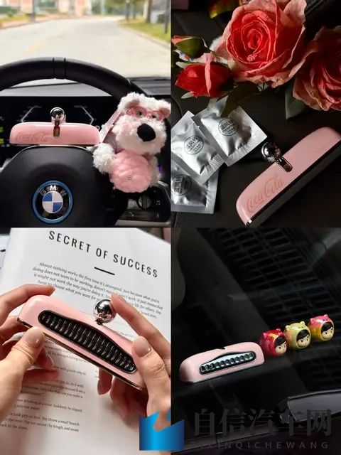 听说车里放点粉色会提升幸福感…🥰-2