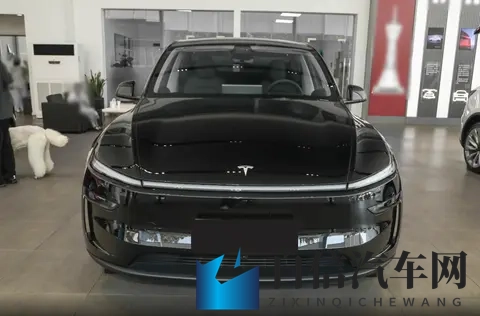 售价2885万元，特斯拉Model Y长续航后驱版上市，续航821公里-2