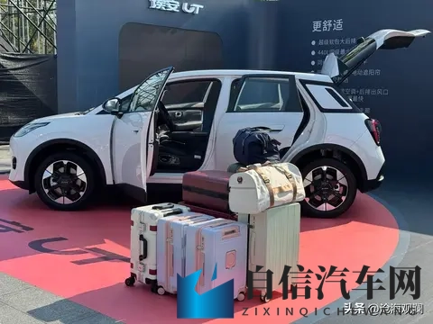 京东掀桌了！49999块的新车，刺痛了谁的神经？-2