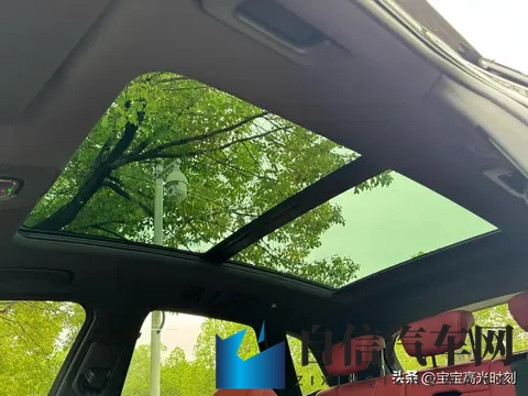 奥迪SQ5四十几万落地却乏人问津 燃油情怀撞上新能源浪潮全记录-3