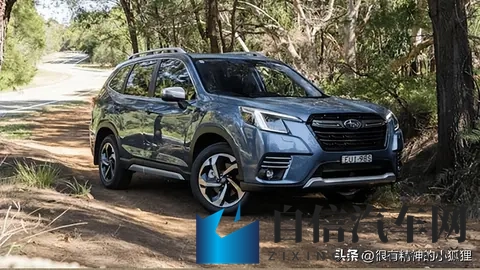 来看看澳大利亚最受欢迎的汽车-3