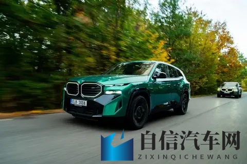 宝马XM车队携10辆炫酷座驾亮相-2