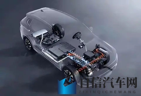 黑人巨大vⅰdous娇小：黑人身材震撼，娇小女子引人注目-1