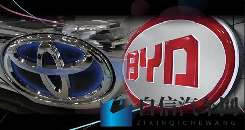 绿巨人福引导：巨人力量指引幸福前行-2