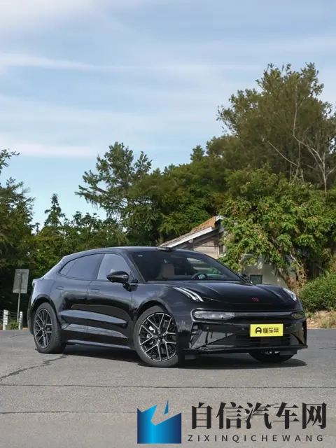 五月天丁香花婷婷：五月旋律中丁香花盛放，婷婷玉立映晴空-3