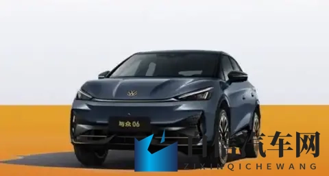 “起势之年”突围无力，新车、老将，金标大众背水一战-3