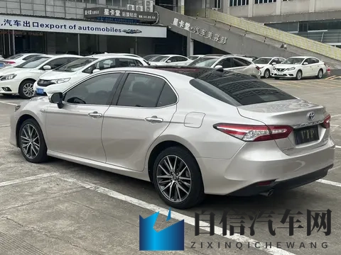 解剖分尸血腥网站入口网站：智能汽车来袭：安全驾驶新体验-2