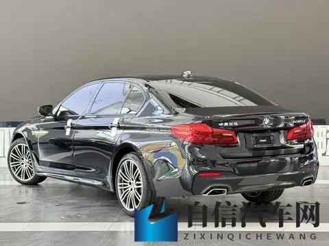 20万拿下宝马5系？2019款530Li，一手车况香不香？-2