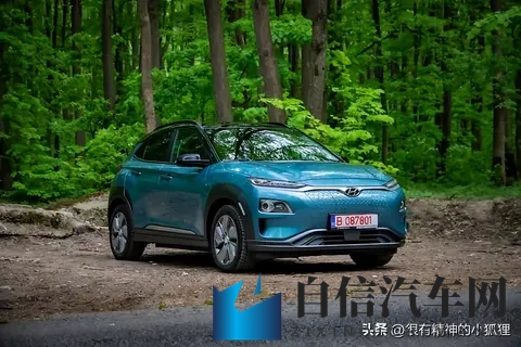 澳大利亚最好的电动汽车-2