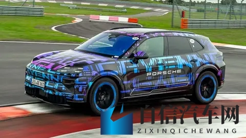保时捷卡宴纯电版11月19日首发！113度大电池，燃油 _ 纯电同售-2