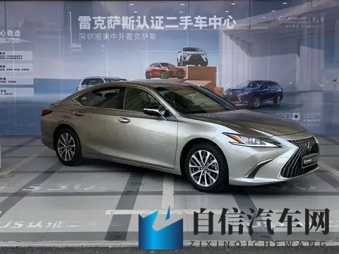 勾搭按摩店漂亮小少妇:全新汽车品牌引关注,设计人性化性能卓越-2