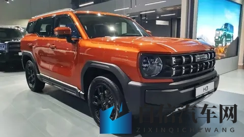 大龟慢慢挺进张娟征的休：巨龟缓缓接近张娟征栖息之地-2