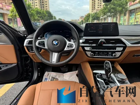 一手20款宝马530Li，8万公里，落地近50万，现在抄底价？-1