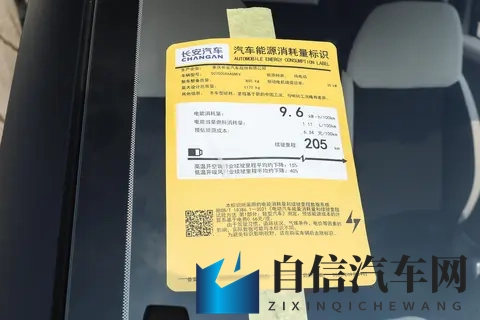 长安Lumin宝藏版：不同需求下的理想选择-2