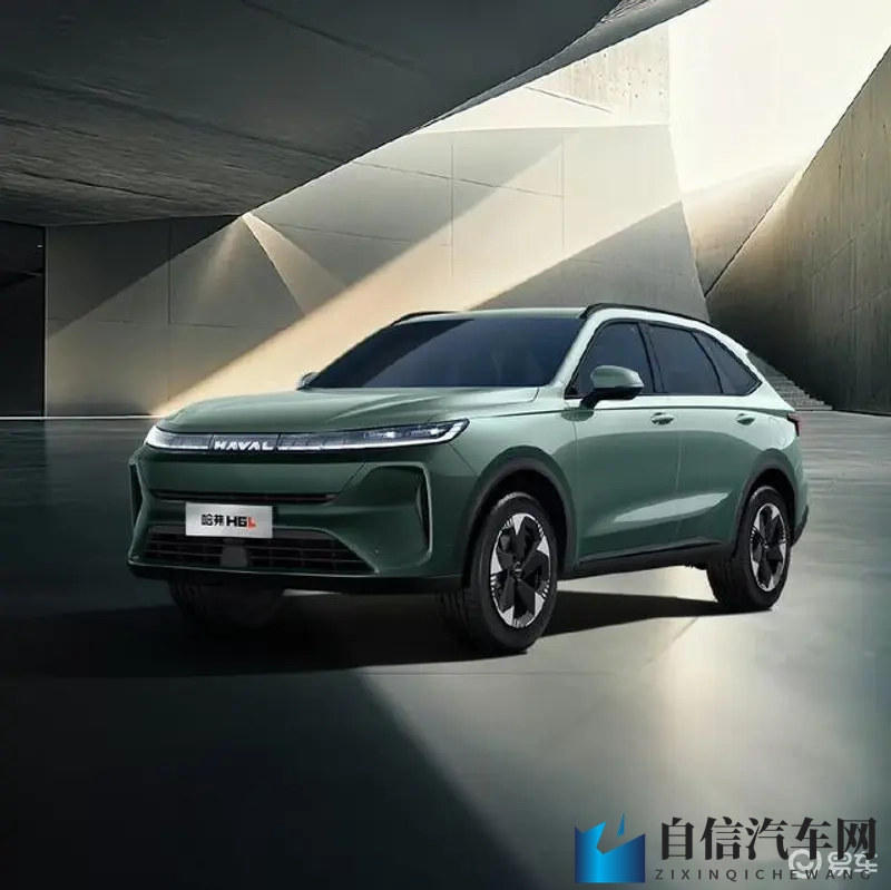 别揉我胸：汽车底盘保养，行车安全延长寿命大揭秘-1