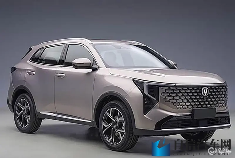 黄色404:网页迷失,黄标警示,导航异常提示-3