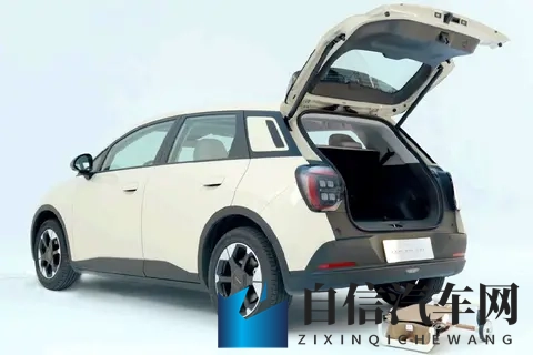 租电购买价499万元，京东“国民好车”真的香吗？-3