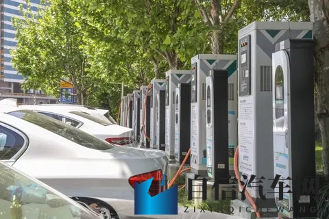 XXX亲子伦XXXinin：亲子欢乐学驾车，共享汽车快乐时光-1