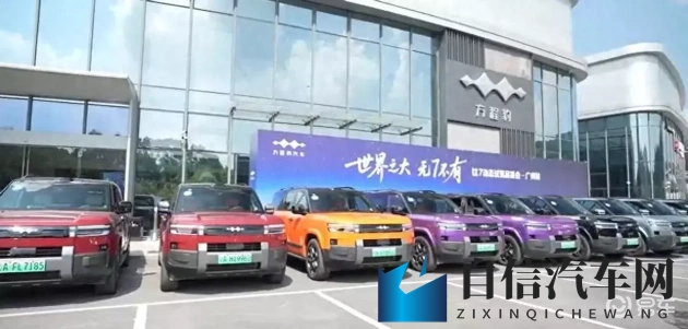 极端针拳头极端疼痛：极度拳劲挥洒，痛感极致体验-1