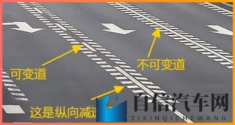 将界2丁思聪和雷蕾：丁思聪雷蕾携手闯江湖-2