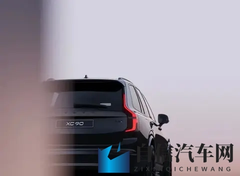 沃尔沃XC90暗夜版：拒绝“登”味-2