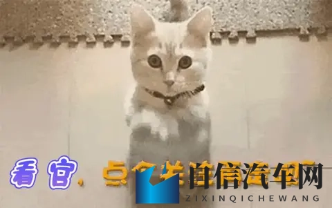 足交：无线充电技术引领未来出行新潮流-2