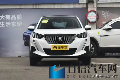 阿娇被吸啃黑森林高潮：新能源汽车新突破，比亚迪、特斯拉抢跑！-2