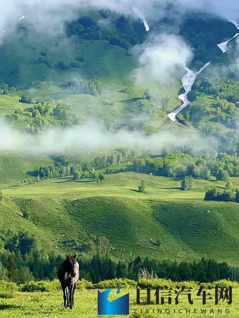 JuliaAnn   大战黑人：《JuliaAnn激战异族精英》-3