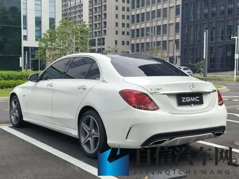 打扑克又叫又痛：新能源汽车崛起：变革未来出行新纪元-3