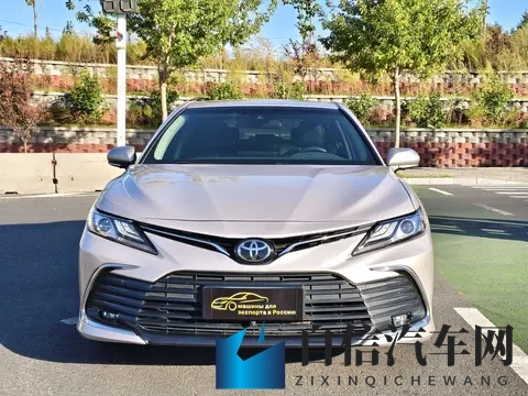 美女裸体应用：性感美女图片应用推荐-2