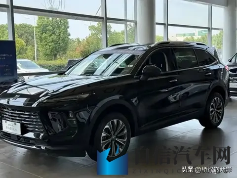 业余半老成熟自由性别业余是什么:汽车文化新视角:打破界限,探索个性之旅-2