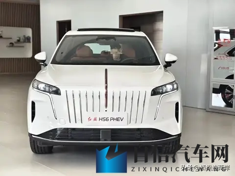 巨大 得到 动漫 妓女：动漫世界收获巨大惊喜，妓女形象引发热议-2