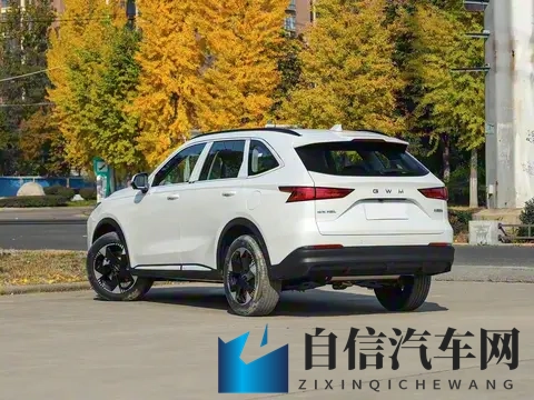 哈弗H6L 11月18日上市，比H6长了155mm，前脸大改，升级为中型SUV-1