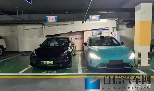 艳女TV：魅力女性娱乐频道-1