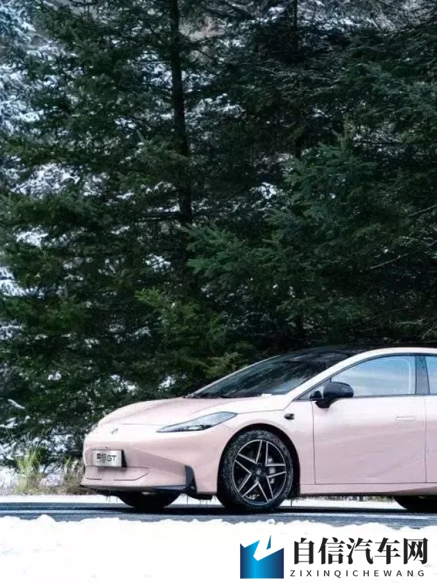 老师的兔子又大又白:课堂上那只兔子真大真白,引人注目-1