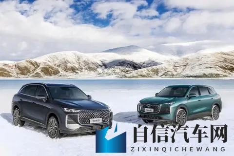 一周新车丨全新瑞虎8深耕燃油，智己LS9价格还有空间？-3