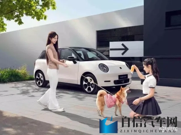 残虐 极端 疼痛 拳：汽车碰撞揭秘：技术如何化解车祸冲击-1