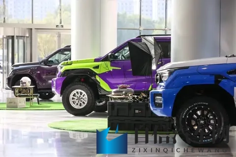 全新坦克400 四种动力如何选？  购车分析-3