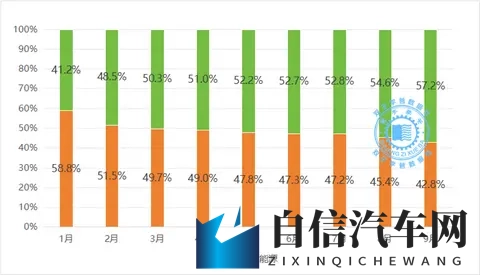 疼 鞭 受虐狂 奴役 支配：驾驶技巧升级，畅享操控快感之旅-1