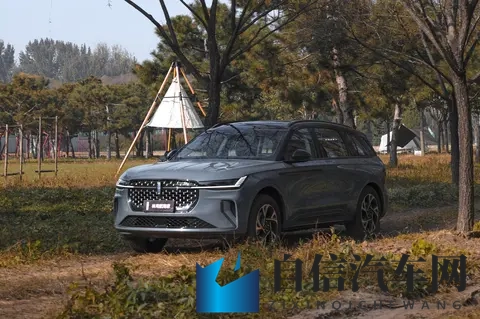 黑料反差裱：揭秘：豪车“黑料”真相，车主口碑大反转-3