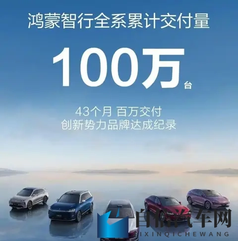 第1名=2-10名销量总和？10月新能源汽车销量相差太大-1