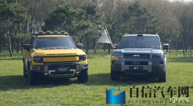 扒下胸罩和内裤用羽毛挠痒痒：羽毛元素革新内饰，汽车驾驶体验升级-1